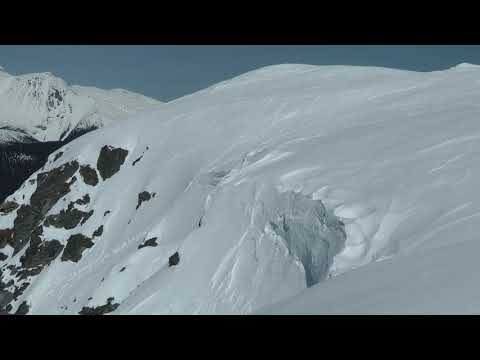 Mountain Goats on McKendrick Mt