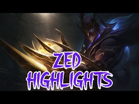 GALAXY SLAYER ZED HIGHLIGHTS: Playful on Zoe, and gee that Sett was fed af!