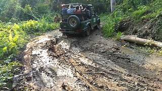 preview picture of video 'Kaziranga jeep safari'