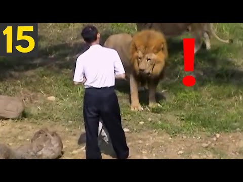 Top 15 STUPID ZOO GUESTS - what were they thinking?