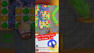 Save The King 👑 from the Snake 🐍!!! #puzzle #gameplay #gaming