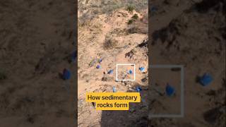 How sedimentary rocks form #fossils #nature #science #geology