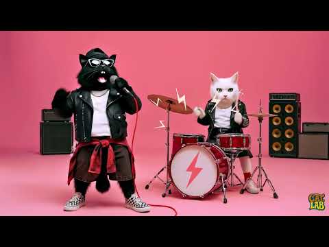 K-Pop Cat Remix! ROSÉ & Bruno Mars APT. Parody with Singing Cats 🐾🎤 #CATLab