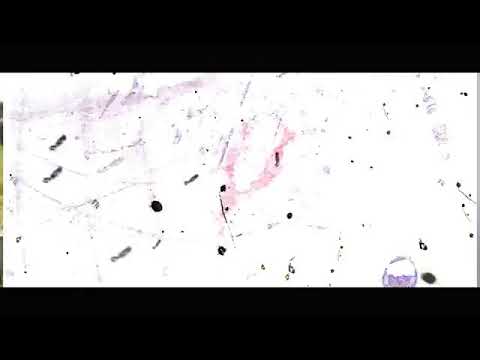 LMPC - Blessed & Control (Official music video)