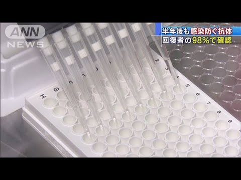 新型コロナ抗体研究開始:結果はこうして役立つ