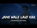 Jane Wale Laut Kar Tu Aaya Kyon Nahi Slowed Reverb B Praak Payal Dev Kyon SR Lofi