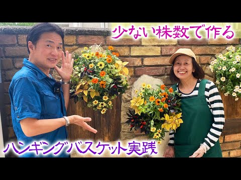 園芸 庭のキンレンカ、大型のキンレンカ