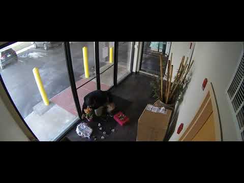 Guy Drops Valentines Day's Gift Pack While Retrieving Balloon Stuck in Door - 1292129
