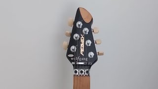 Video thumbnail for Peavey Wolfgang 1997 Van Halen Guitar Honest Review by BlackWolfgang70