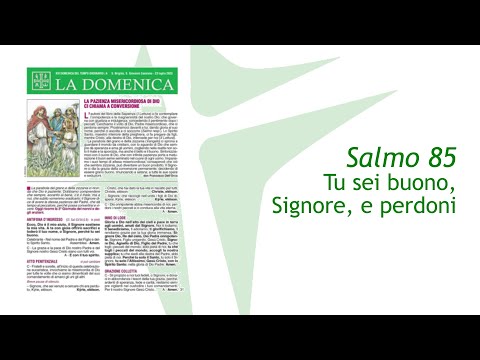 XVI Domenica del Tempo Ordinario | 23 luglio 2023 | anno A | foglietto la Domenica