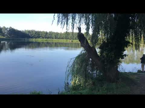 Ihmsen - Der Forellengott Dicht am Fisch 16. September 2018