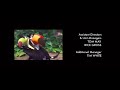 Disney S Rio 2012 End Credits