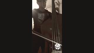 Avengers Infinity War the Last scene ost “ porch “ contrabass cover. Music by Alan Silvestri