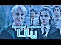Draco And Hermione Lilly