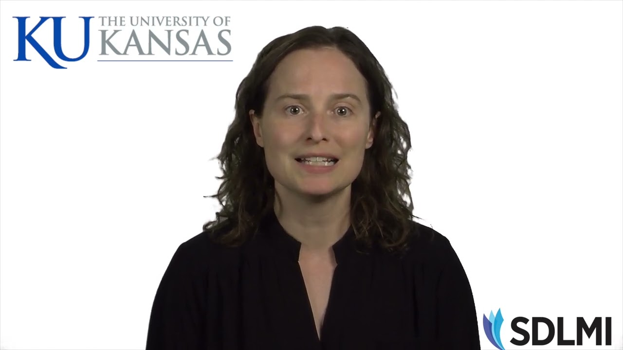 Introduction to SD.org (2020)