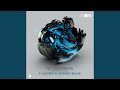 No Tomorrow (P Money x Whiney Remix) (feat. Sophie Lindinger, Mefjus)