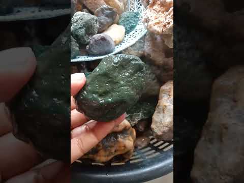 Guess The Stone 🍀Jade Or Jasper??🍃🤷#shorts #stone #jade #jasper #earth #nature #minerals #gems
