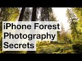 Secrets For Stunning iPhone Forest Photos – iPhone Landscape Mastery
