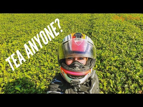 download lagu mp3 mp4 Himalayan Spring Breakfast Tea, download lagu Himalayan Spring Breakfast Tea gratis, unduh video klip Himalayan Spring Breakfast Tea