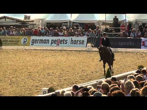 Fürst Fohlenhof : Fidertanz X mephistopheles   Bundeschampionate Final Qualification 4 Year old Sta