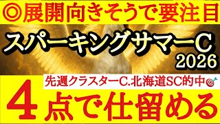 【スパーキングサマーカップ2026】最終予想！！◎は展開向きそうで能力上位のあの馬！