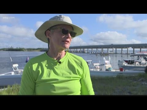 This is how scallops are used as a water quality indicator