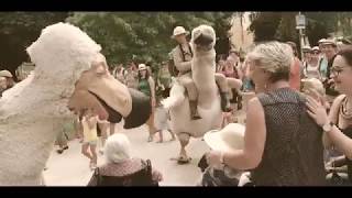 Afozic, Aperçu Vidéo