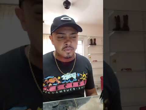 MC Murilo FS lançamento