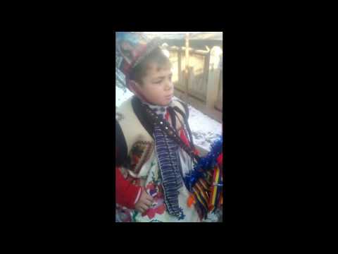 CAPRA HOISESTI NEAMT