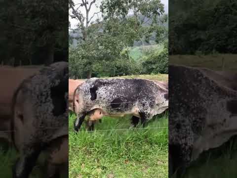 En el municipio Seboruco, estado Táchira, la está cambiando.