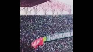 Download lagu Story Wa Persebaya ||Emosi Jiwaku mp3