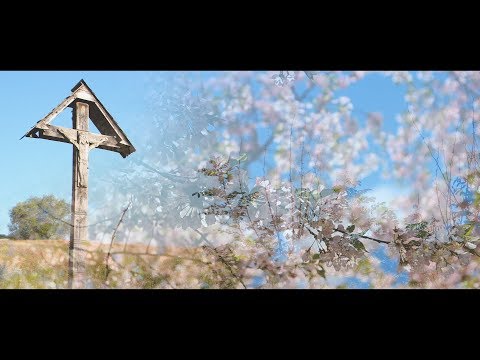 Marilena Chircă - Poate fi-nfrunzită lunca