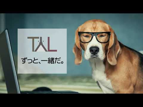 名古屋テレビ（メ～テレ）でお手頃、テレビCM。東海エリアでお手頃にテレビCMを実施してみませんか？