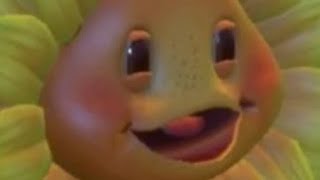 Sunflower refuses to die