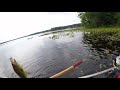 Doc S Hudson Lake 2 2 Lb On Frog