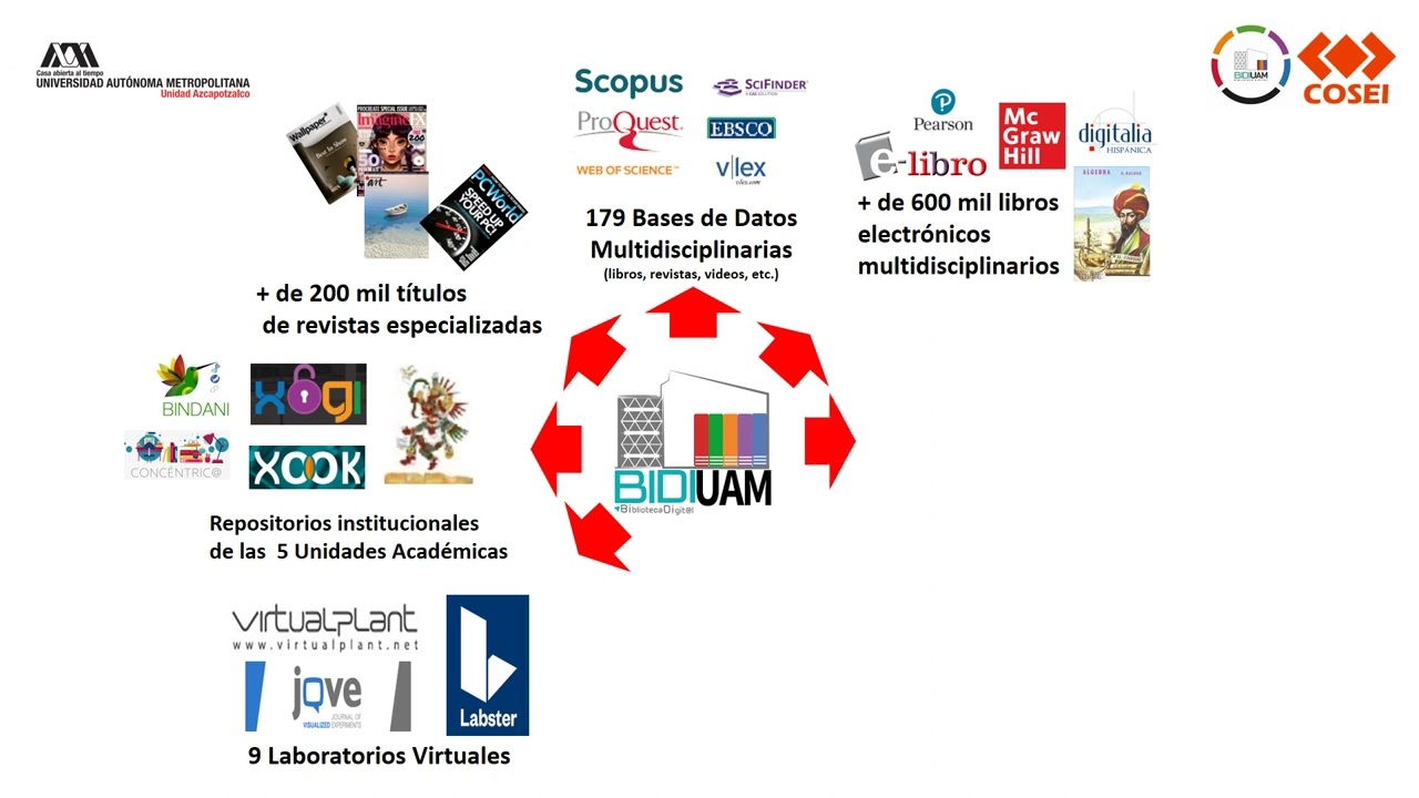 Biblioteca Digital BIDI-UAM