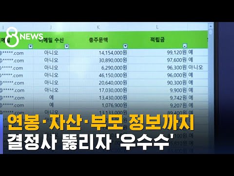 경쟁 업체 정보 700만 건 털어…'청부 해킹' 조직 적발 / SBS 8뉴스