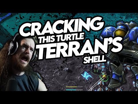 Cracking this Turtle Terran's shell