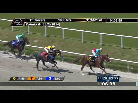 201031 c01 RACE DREAM