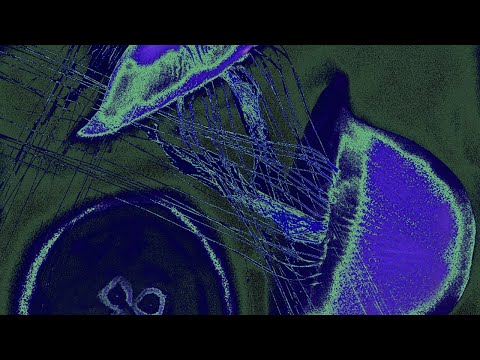 Holzweiler AW23 – Deep Sea