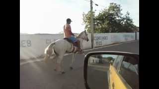 preview picture of video 'cavalo Mangalarga marchador bom de pisada quilometro'