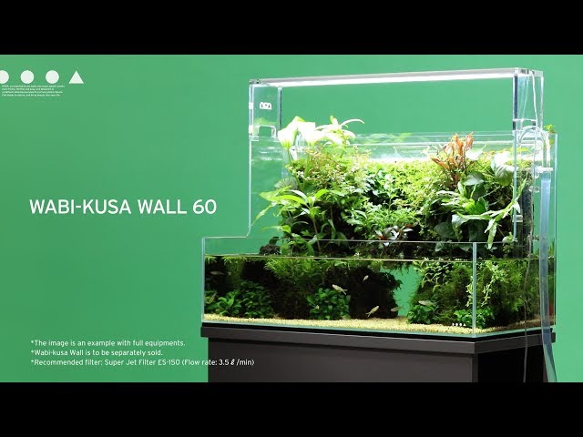 [ADAview] DOOA Wabi-kusa Wall 60 Making layout