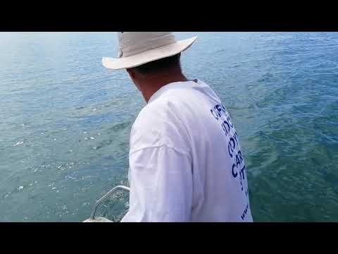 Fishing near Ponui Island