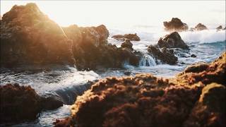 Purple Rain (Cover) - Berget Lewis (Tradução)