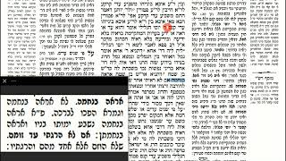 דף יומי מסכת שבועות דף לד Daf yomi Masechet Shevuot page 34  ע"י יוני גוטמן (שיעורי הדף היומי ב-20 דקות – מועבר ע"י ר' יוני גוטמן – לעילוי נשמת אביו ר' אלימלך צבי (צביקה) גוטמן ז"ל) - התמונה מוצגת ישירות מתוך אתר האינטרנט יוטיוב. זכויות היוצרים בתמונה שייכות ליוצרה. קישור קרדיט למקור התוכן נמצא בתוך דף הסרטון