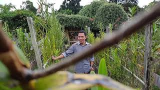 Download lagu Cogan suka lagu minang - adaik palarai cinto mp3