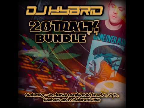 Jungle Drum & Bass Mix - DJ Hybrid.