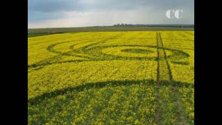 UFO FILE - Crop Circles 2010 - Stonehenge Wiltshire - 9th May 2010 - UFO ALIEN ORB