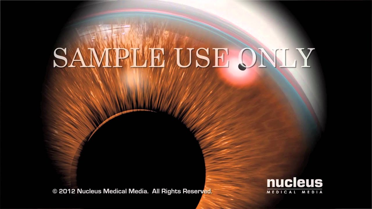 Ruth Georgina Navarrete Ortega-6