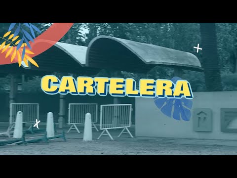 Cartelera de espectáculos: Nuestras recomendaciones